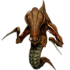 starcraft_PNG19.png