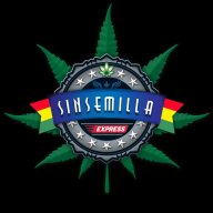 Sinsemilla