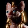 sphynx