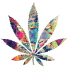 Cannabioid