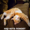 НАР КОТА ЛОМАЕТ