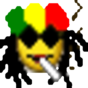 Rasta2