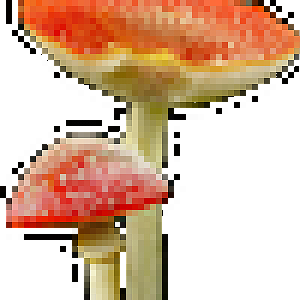 Kisspng-mushroom-clip-art-5b2d8d485f2d04.4209193015297119443899