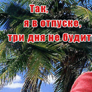 Я в отпуске! 3 дня не будить!