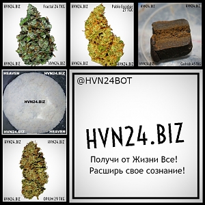 HVN24.BIZ