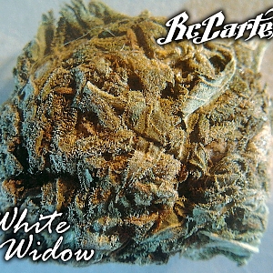 RC Cartel White Widow шишки