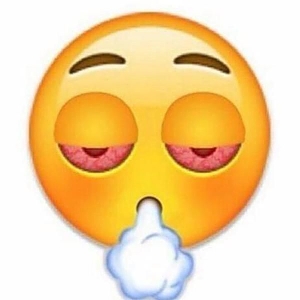 Caa54dcba25e7ba8a96e466c644f3177--weed-emoji-smoke-weed