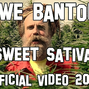 Уве Бентон - Сладкий Sativa